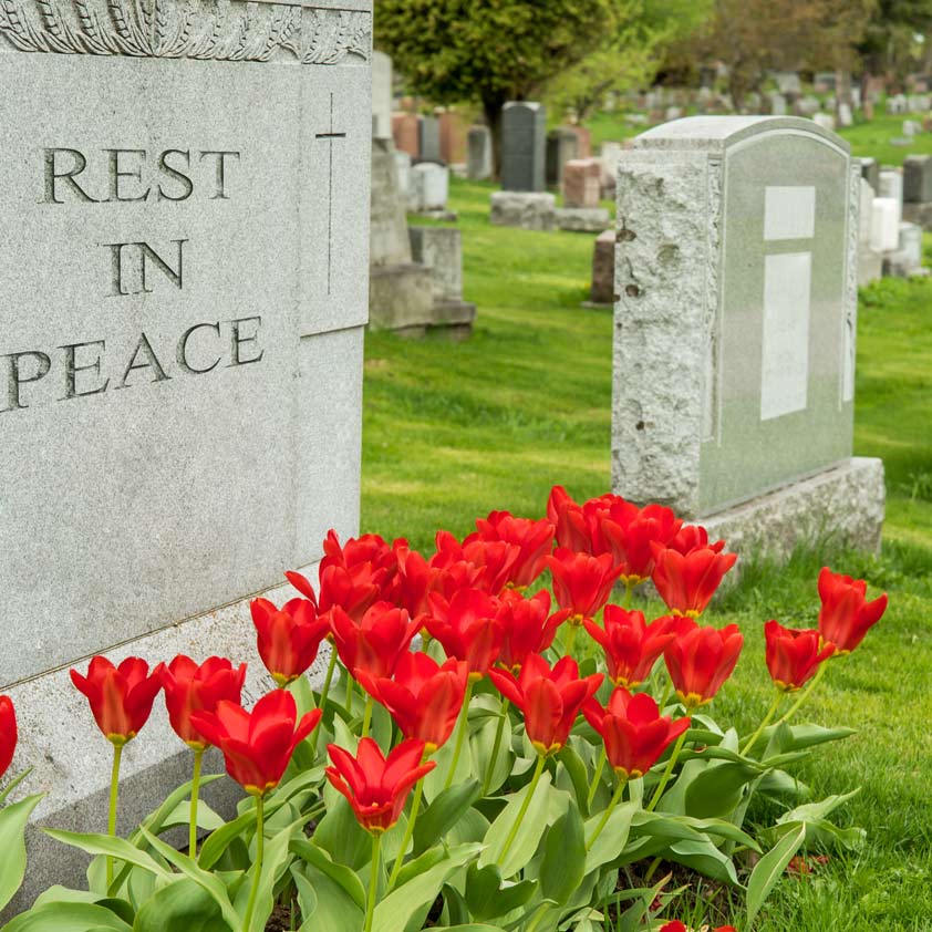 Cemetery with Rest in Peace Gravestone: Estate Planning